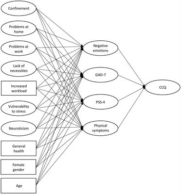 The Relationship Between Perceived Stress and Subjective Cognitive Decline During the COVID-19 Epidemic